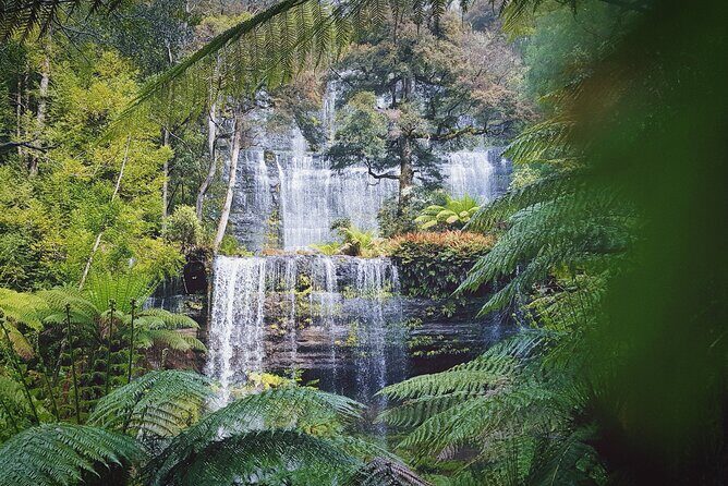 10 Days Ultimate Guided Tour of Tasmania - Comfort Tour - Day 2: Gordon River Cruise in Strahan, then the long road to Tullah