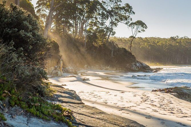 2 Day Tasmanian Highlights Tour - Bruny Island & Port Arthur - Day 1: Eaglehawk Neck, Pirate Bay, and Port Arthur at a guided pace