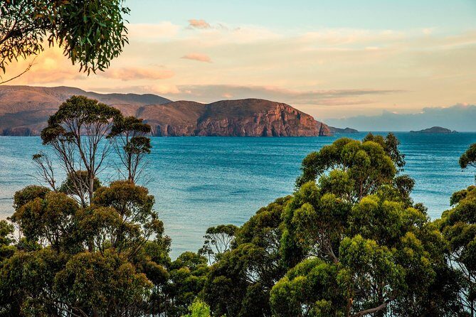 2 Day Tasmanian Highlights Tour - Bruny Island & Port Arthur - Value check: what you’re paying for, and what to budget on the spot