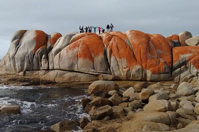6-Day Tasmanian Explorer Adventure Tour from Hobart - The tour style: how you get Tasmanian distance without the headaches