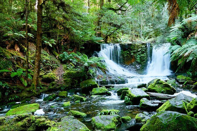 Bonorong Wildlife Park and Richmond Afternoon Tour from Hobart - Who should book this Bonorong and Richmond afternoon