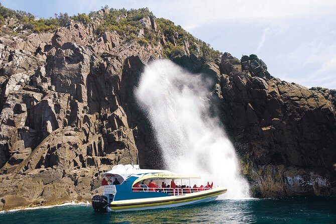Bruny Island Wilderness Cruise from Adventure Bay, Bruny Island - Cliffs, sea caves, and blowholes: the coastline stops