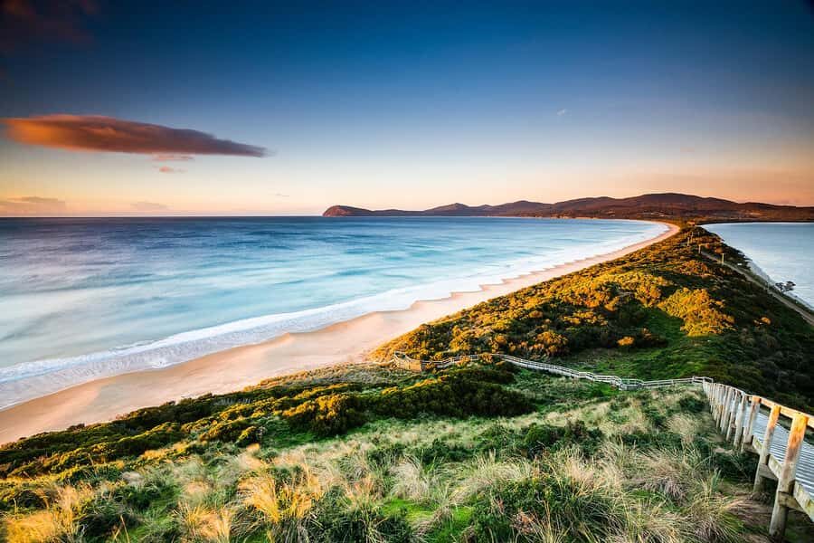 From Hobart: Full-Day Bruny Island Tour with Guide - Bruny Island in one guided day: what you actually get in 10 hours