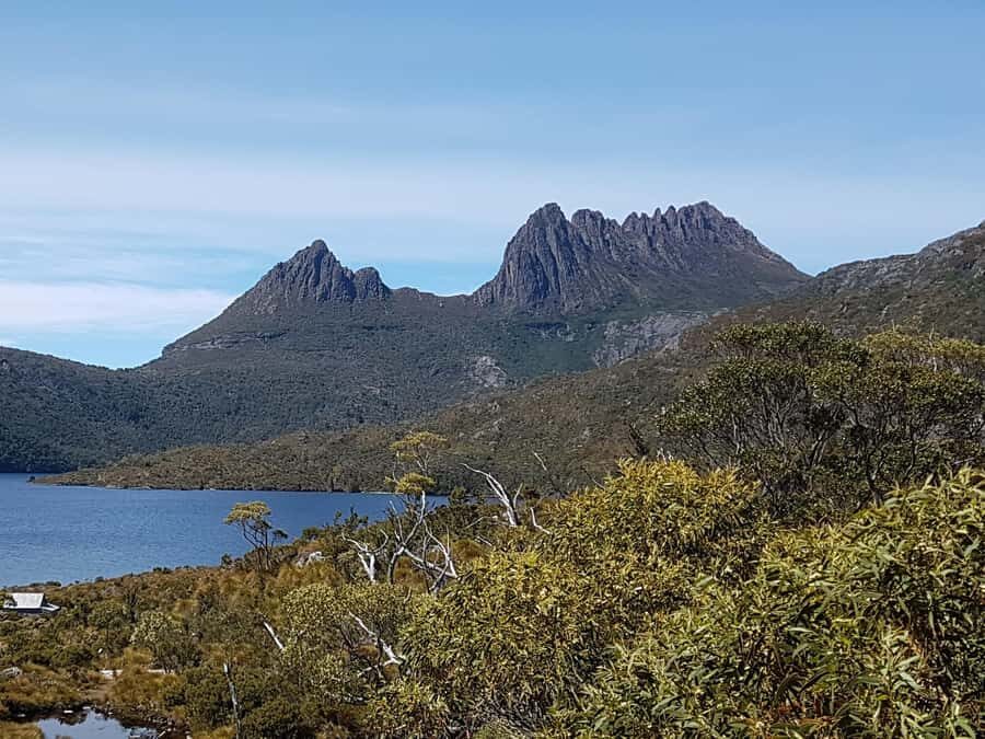 Hobart: 4 Day Wild Tasmania Tour - How this Hobart-based route covers more Tasmania (without feeling rushed)