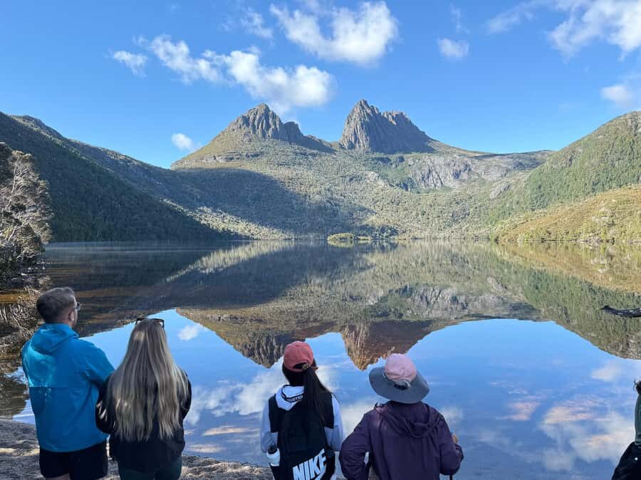 Hobart: 4 Day Wild Tasmania Tour - Wildlife sanctuary and Tasmanian Devil feeding: a short stop with big energy