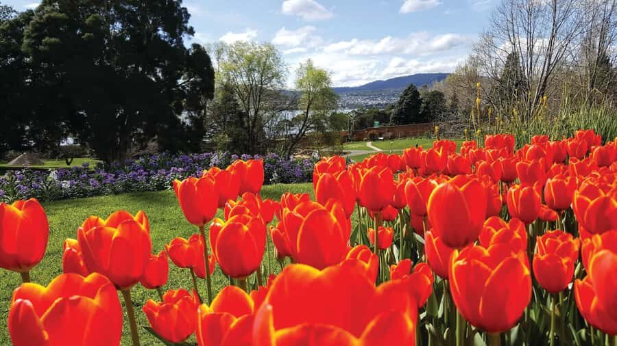 Hobart City Sightseeing Tour including MONA Ticket - Brooke Street Pier start: simple meeting point, clean handoffs