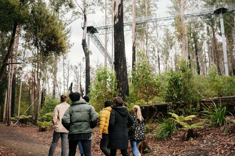 Hobart: Hastings Cave, Tahune Airwalk and Huon Tasting Trail - Key highlights to know before you go