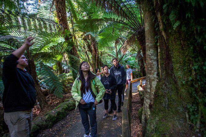 Hobart: Mt. Field, Mt Wellington & Wildlife - Active Day Tour - Your guide experience: the names that came up