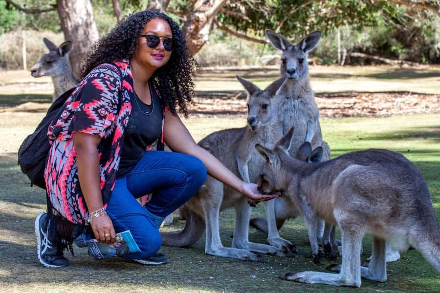 Hobart: Port Arthur, Richmond & Tassie Devil - Active Tour - Port Arthur Historic Site: ruins with context, plus the Isle of the Dead cruise