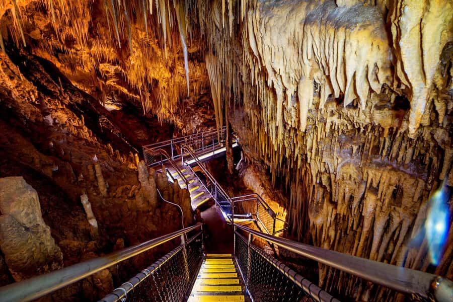 Hobart: Tahune Airwalk, Hastings Cave, Thermal Springs Tour - Key highlights at a glance