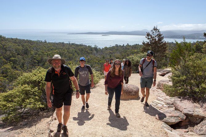 Hobart to Launceston via Wineglass Bay - Active Tour - One-Way Hobart to Launceston with Freycinet built in