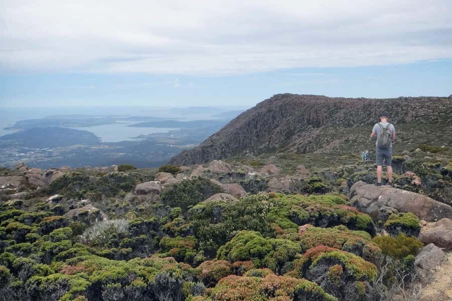 Kunanyi & Mt Wellington Explorer Bus: One-Way Bus Pass - The Quick Rise: Brooke Street Pier to the Summit