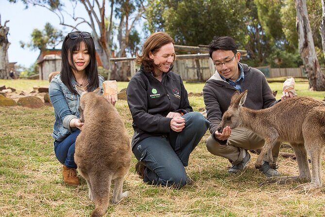 kunanyi/Mt Wellington Tour & Hobart Hop-On Hop-Off Bus - Hobart Hop-On Hop-Off: 20 Stops That Actually Map to Real Plans