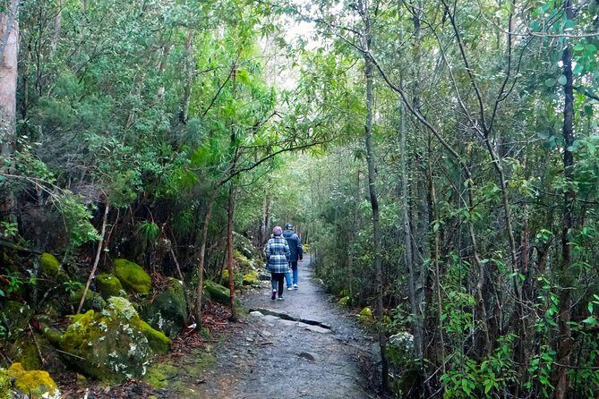 kunanyi/Mt Wellington Tour & Hobart Hop-On Hop-Off Bus - Price and Logistics: Does $60.97 Really Make Sense?