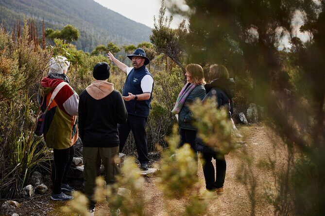 kunanyi/Mt Wellington Ultimate Experience Afternoon Tour - Cascade Gardens: Classic Hobart Green Space to Close the Loop