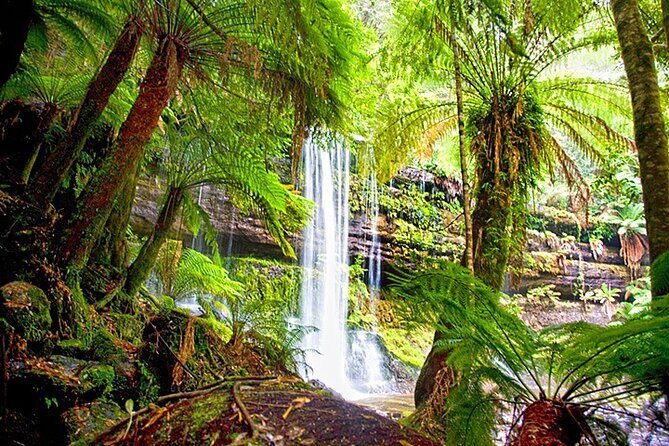 Mt Field National Park and Russell Falls from Hobart - From Hobart to Mt Field: a full day of payoff