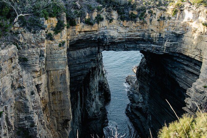 Port Arthur, Richmond and Tassie Devils Active Tour from Hobart - Key highlights worth getting excited about
