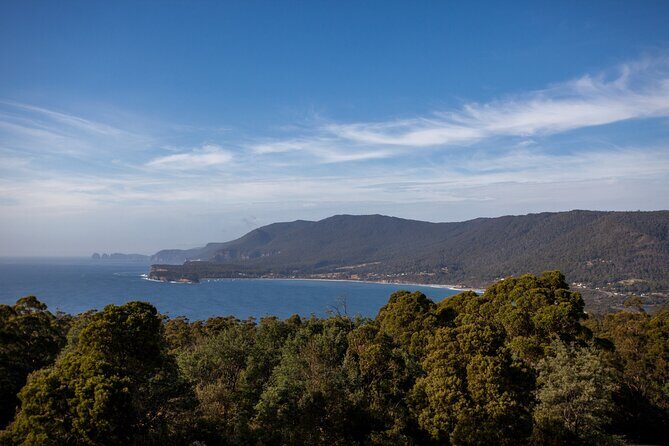 Port Arthur, Richmond & Tasman Peninsula Active Day Tour - Tasman Bay National Park Lookout: The quick start that sets the tone