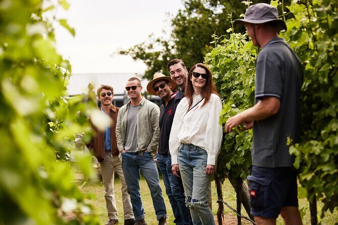 Shore Excursion Hobart and Coal River Valley - Price and value: why $161 can feel fair on a cruise day