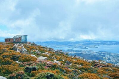 Shore Excursion: Hobart Wanderer - Meeting Point and Timing: How to Not Stress on Cruise Day