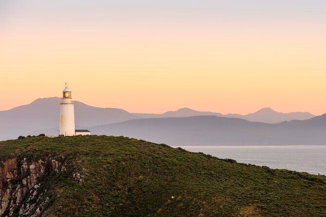 Shore Excursion: Nipaluna (Hobart) Highlights - Who this tour suits best (and who should skip it)
