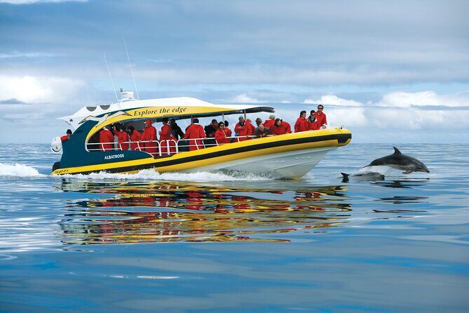 Tasman Island Cruises and Port Arthur Historic Site Day Tour from Hobart - The Tasman Island cruise: cliffs, caves, and wildlife chances