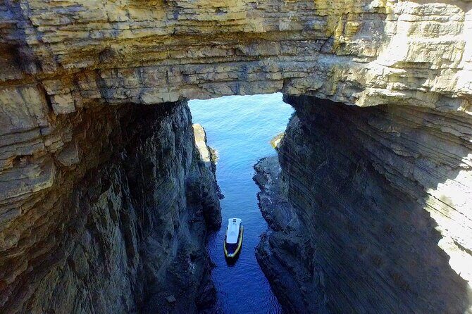 Tasman Island Cruises Day Tour from Hobart - Key things to know before you go