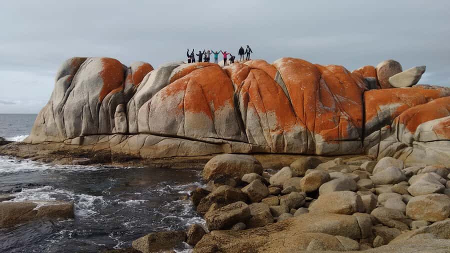 Tasmania: 7-Day West to East Tour - Key highlights you’ll feel on the ground