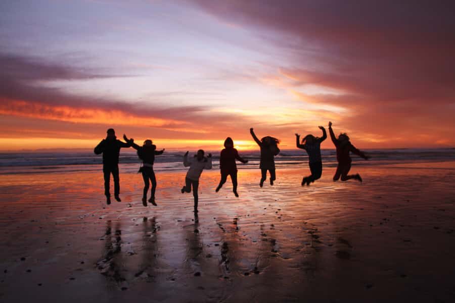 Tasmania: Wilderness and Wildlife Guided 6-Day Tour - What the walking is actually like: easy-moderate, optional, and daily